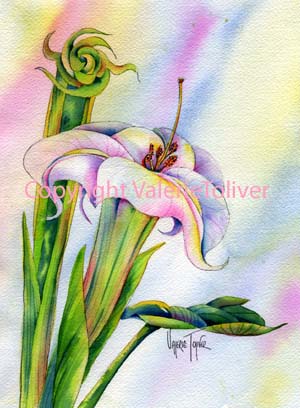 Sacred Datura Watercolor Painting by Valerie Toliver